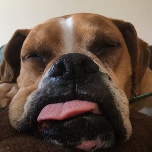 Meet your Posher, Matthew